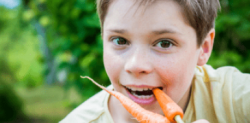 Jongen eet vers geplukte wortel